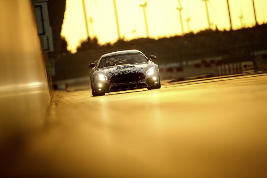  Mercedes-AMG GT4 (C190) 2017 года  (фото 8 из 43)